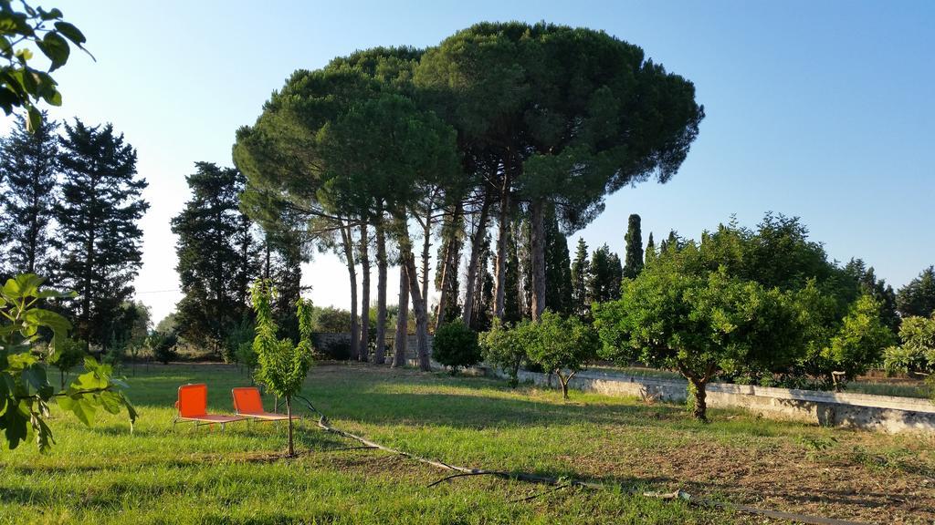 Agriturismo Occhineri Porto Cesareo Exterior photo