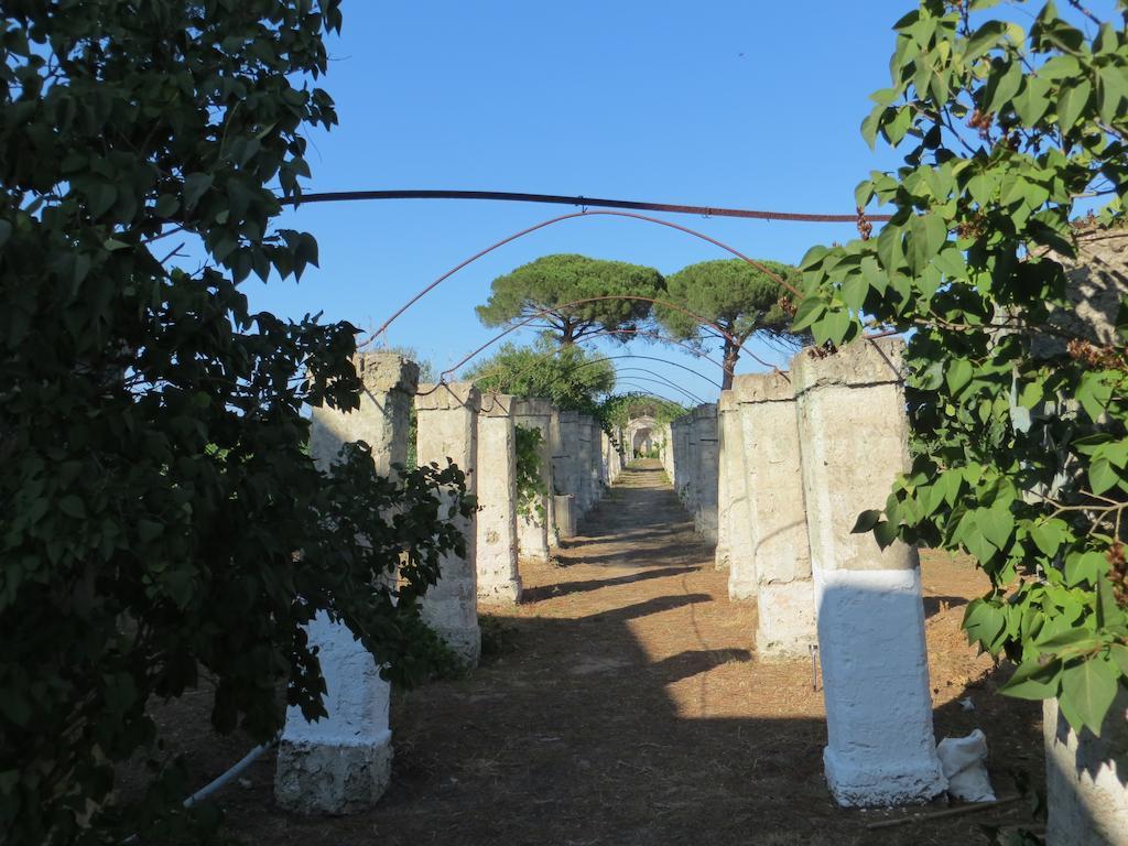 Agriturismo Occhineri Porto Cesareo Exterior photo